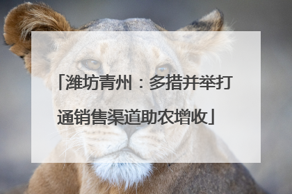 潍坊青州：多措并举打通销售渠道助农增收
