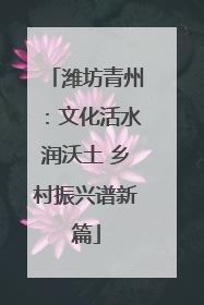 潍坊青州：文化活水润沃土 乡村振兴谱新篇