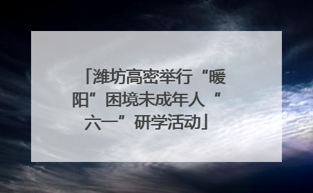 潍坊高密举行“暖阳”困境未成年人“六一”研学活动