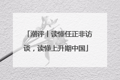 潮评丨读懂任正非访谈，读懂上升期中国