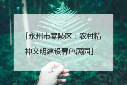 永州市零陵区：农村精神文明建设春色满园