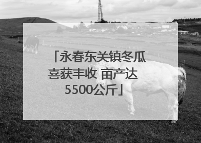 永春东关镇冬瓜喜获丰收 亩产达5500公斤