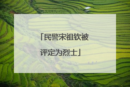 民警宋祖钦被评定为烈士