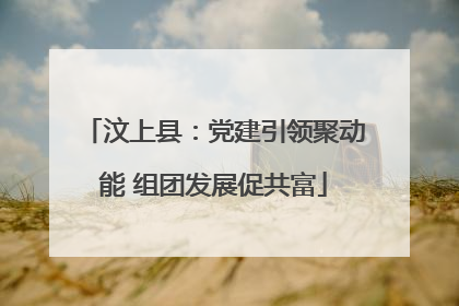 汶上县：党建引领聚动能 组团发展促共富