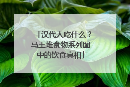 汉代人吃什么？马王堆食物系列图中的饮食真相