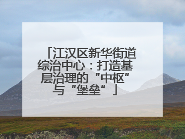 江汉区新华街道综治中心：打造基层治理的“中枢”与“堡垒”