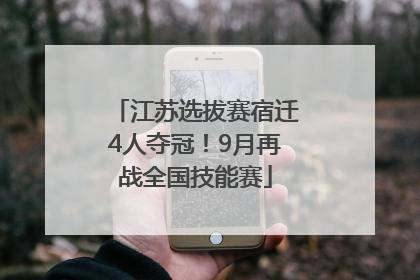 江苏选拔赛宿迁4人夺冠！9月再战全国技能赛