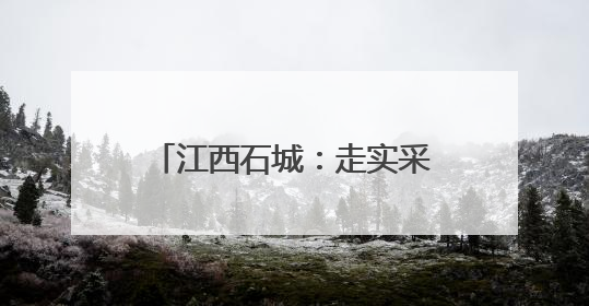 江西石城：走实采烤路 烤出黄金叶