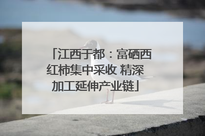 江西于都：富硒西红柿集中采收 精深加工延伸产业链