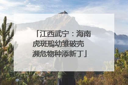 江西武宁：海南虎斑鳽幼雏破壳 濒危物种添新丁