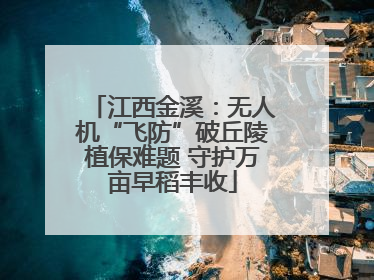 江西金溪：无人机“飞防”破丘陵植保难题 守护万亩早稻丰收