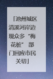 池州城区清溪河岸边现众多“梅花桩” 部门回应市民关切