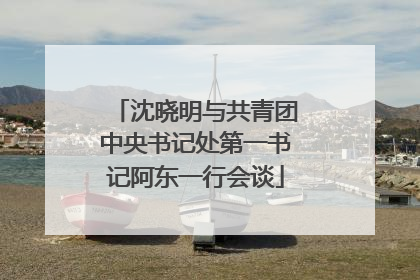 沈晓明与共青团中央书记处第一书记阿东一行会谈