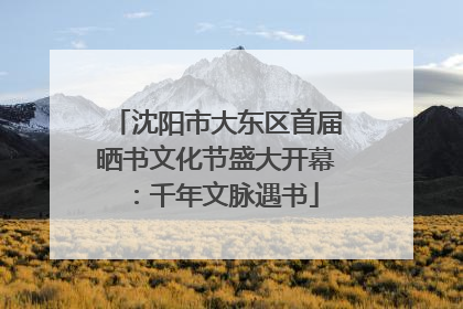 沈阳市大东区首届晒书文化节盛大开幕：千年文脉遇书