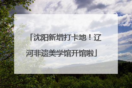 沈阳新增打卡地！辽河非遗美学馆开馆啦