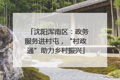 沈阳浑南区：政务服务进村屯，“村政通”助力乡村振兴