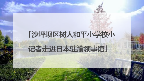 沙坪坝区树人和平小学校小记者走进日本驻渝领事馆