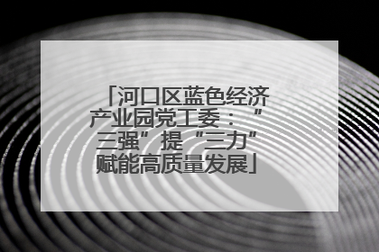 河口区蓝色经济产业园党工委：“三强”提“三力”赋能高质量发展