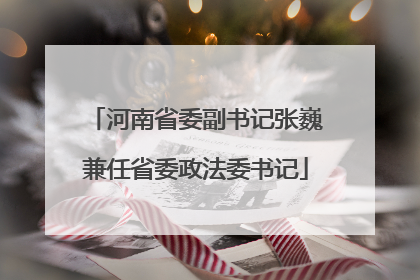 河南省委副书记张巍兼任省委政法委书记