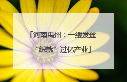 河南禹州：一缕发丝“织就”过亿产业