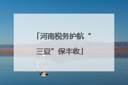 河南税务护航“三夏”保丰收