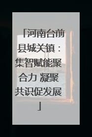 河南台前县城关镇：集智赋能聚合力 凝聚共识促发展