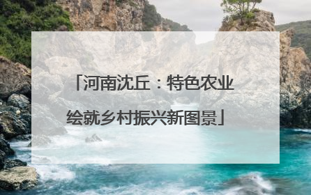 河南沈丘：特色农业绘就乡村振兴新图景
