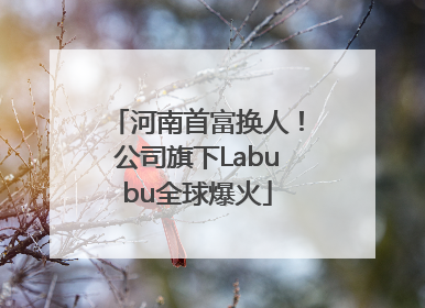 河南首富换人！公司旗下Labubu全球爆火