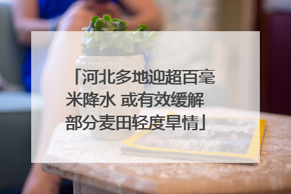 河北多地迎超百毫米降水 或有效缓解部分麦田轻度旱情