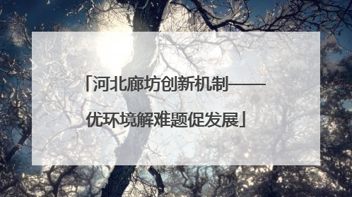 河北廊坊创新机制——优环境解难题促发展