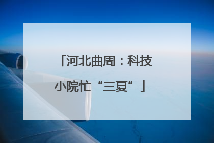 河北曲周：科技小院忙“三夏”