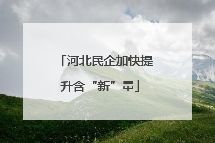 河北民企加快提升含“新”量