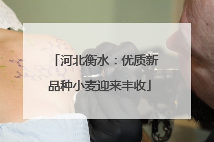 河北衡水：优质新品种小麦迎来丰收