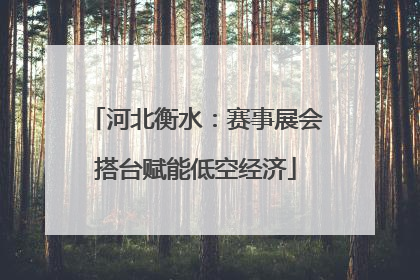 河北衡水：赛事展会搭台赋能低空经济