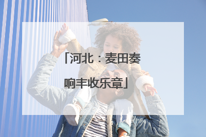 河北：麦田奏响丰收乐章