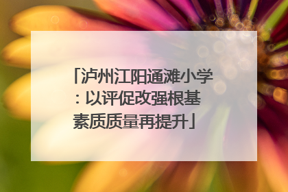 泸州江阳通滩小学：以评促改强根基 素质质量再提升