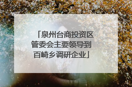 泉州台商投资区管委会主要领导到百崎乡调研企业