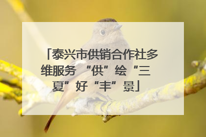 泰兴市供销合作社多维服务 “供”绘“三夏”好“丰”景