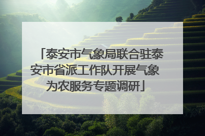 泰安市气象局联合驻泰安市省派工作队开展气象为农服务专题调研