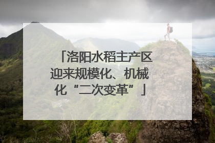 洛阳水稻主产区迎来规模化、机械化“二次变革”