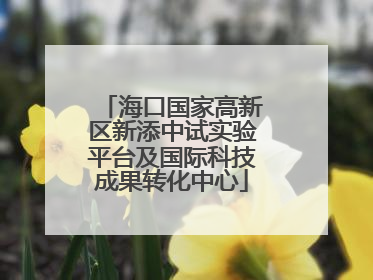 海口国家高新区新添中试实验平台及国际科技成果转化中心
