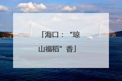 海口：“琼山福稻”香