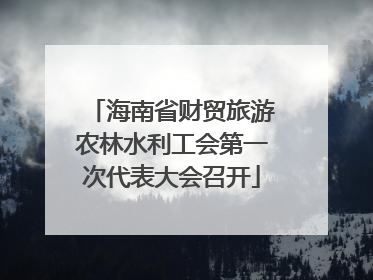 海南省财贸旅游农林水利工会第一次代表大会召开