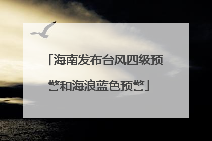 海南发布台风四级预警和海浪蓝色预警