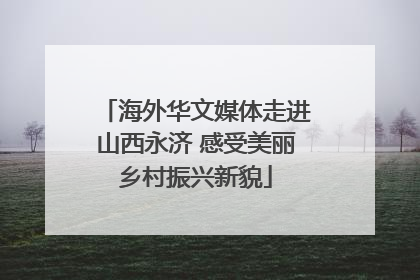 海外华文媒体走进山西永济 感受美丽乡村振兴新貌