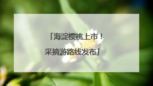 海淀樱桃上市！采摘游路线发布