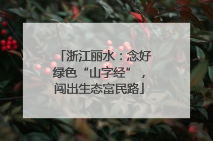 浙江丽水：念好绿色“山字经”，闯出生态富民路
