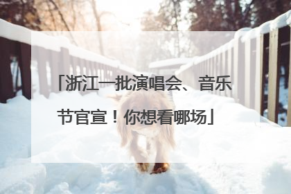 浙江一批演唱会、音乐节官宣！你想看哪场