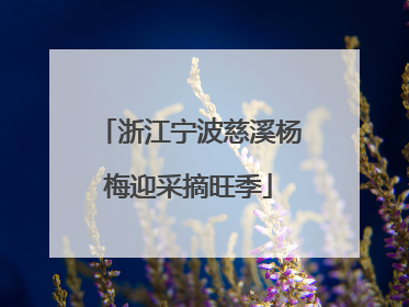 浙江宁波慈溪杨梅迎采摘旺季