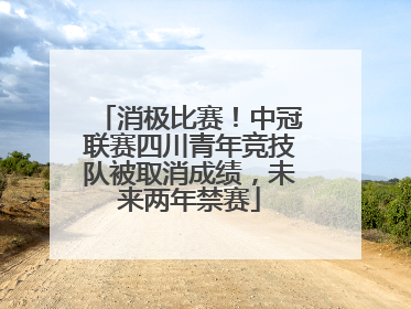 消极比赛！中冠联赛四川青年竞技队被取消成绩，未来两年禁赛